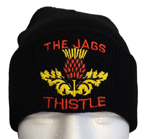 Partick thistle hat - thistle,