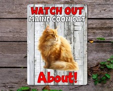 Cat Metal Sign Gift - Watch Out Maine Coon Cat About - Fun Cute Kitten Present
