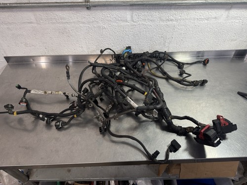 Ford focus engine loom - ford, st