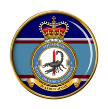 RAF Regiment 3 Squadron Pin