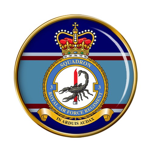 Raf regiment squadron pin - 3,