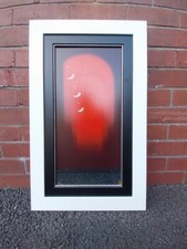 Govinder Nazran "Solidarity"