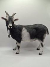 Vivid Arts Real Life Goat