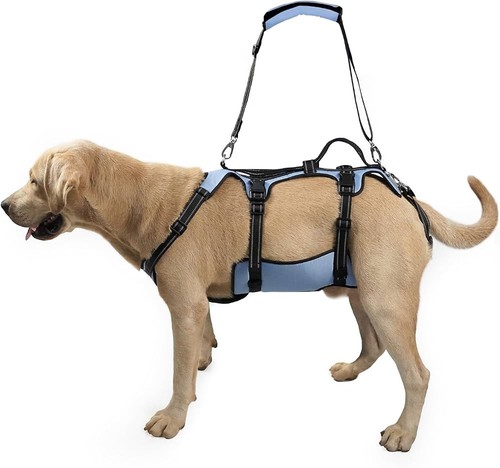 Coodeo dog lift harness full - coodeo, harness,