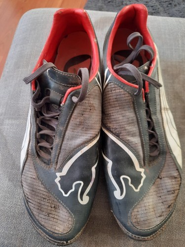 Rare match worn shane - rare,