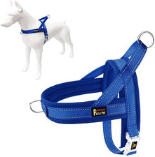 Plutus Pet No Pull Dog