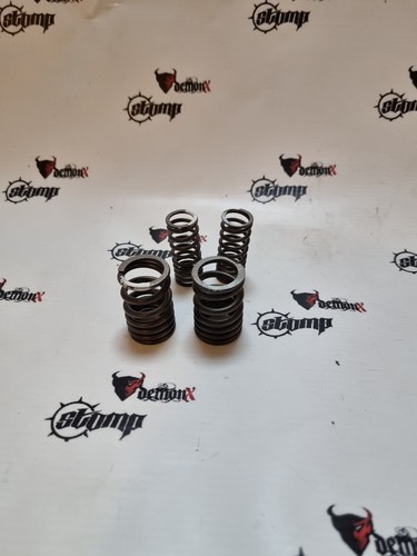 Zongshen z190 valve - valve, springs