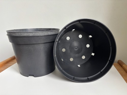 Sets veg plant pots - plant,
