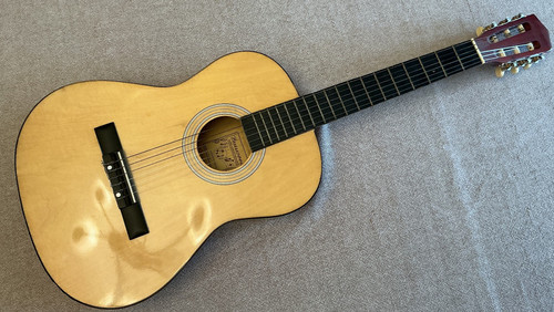 Guitar acoustic burswood - acoustic,