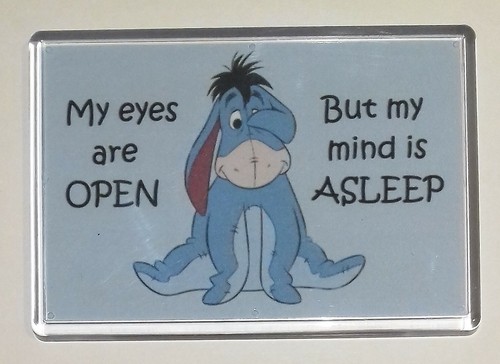 Large fridge magnet eeyore - large, magnet❤