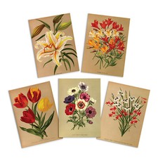 Antique Botanical Greeting