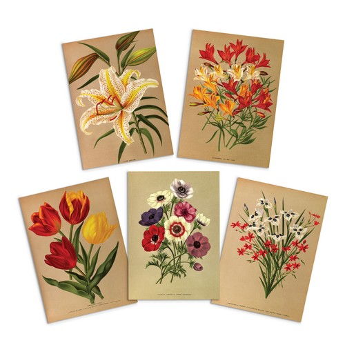Antique botanical greeting - antique,