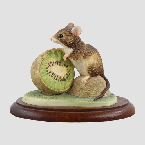 Mouse and kiwi border - mouse, fine