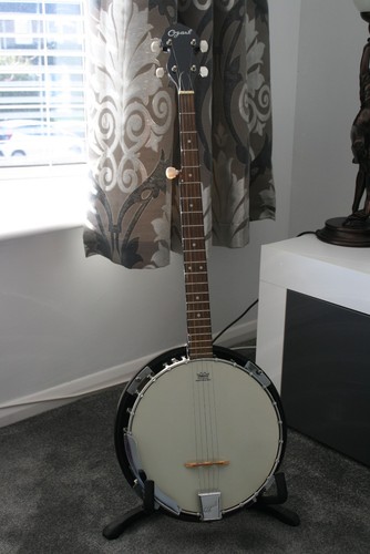 Ozark string banjo - ozark,