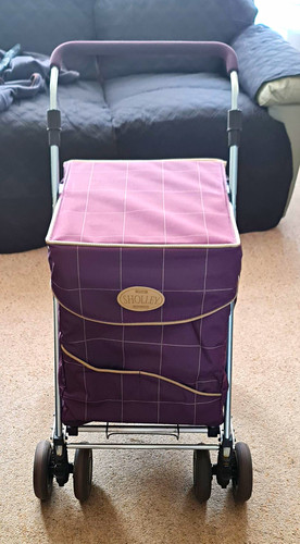 Sholley purple checked - purple,