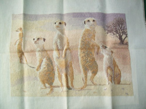 Meerkats cross stitch - cross,