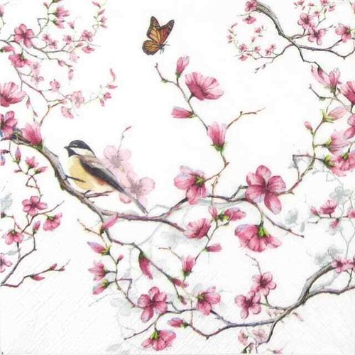 Single paper napkins for - 4x,
