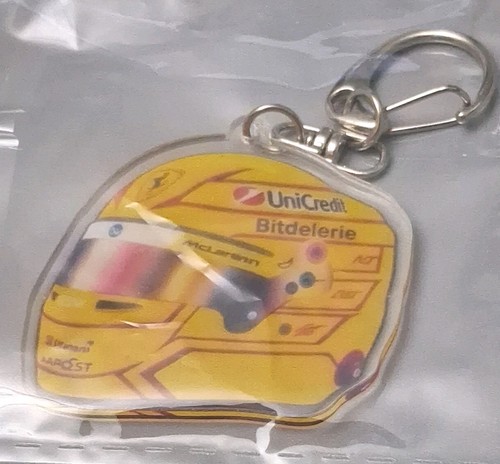 Acrylic driver helmet - f1,