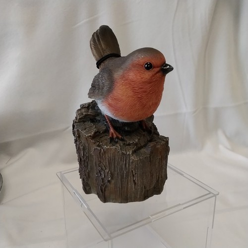 Vivid arts robin red - red, breast