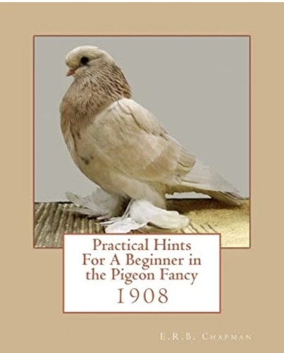 Practical hints for beginner - practical, a