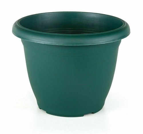 Pack green plastic round - pack, 2