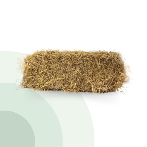 Bale pallet barley straw - bale,