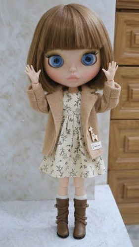 Cute blythe doll - doll, brown
