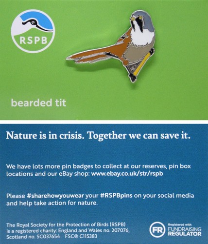 Rspb pin badge - pin,