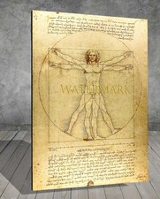 Da Vinci Vitruvian Man SKETCHES CANVAS PAINTING ART PRINT 207