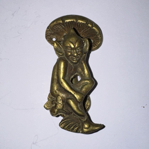 Brass pixie door - door,