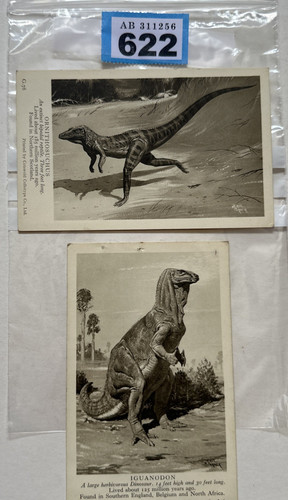 Np622 dinosaur collectables - np622,