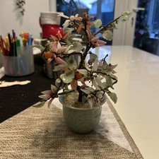 Vintage Bonsai Tree In Pot