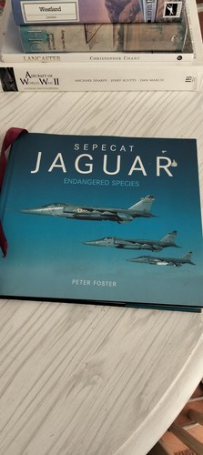 Sepecat jaguar endangered - jaguar:,