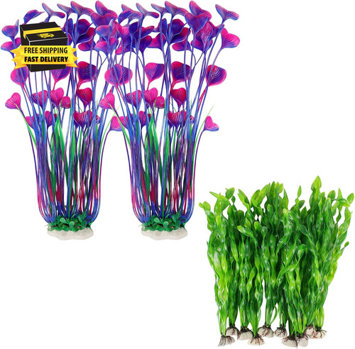 Pack aquarium plants - pack,