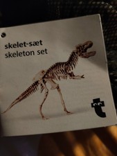 dinosaur skeleton model set