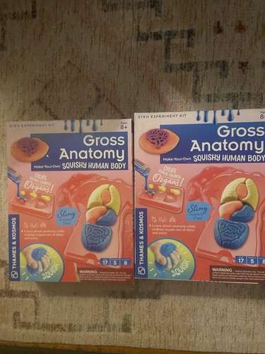 Gross anatomy diy - gross,
