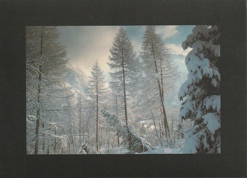 French postcard winter - french,