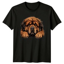 Tibetan Mastiff Dog Portrait