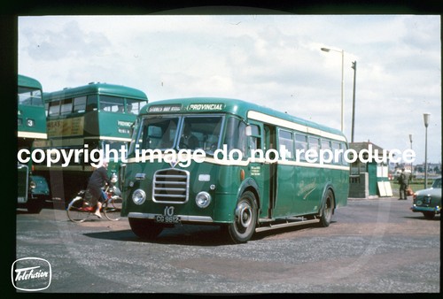 Copy bus slide - copy,