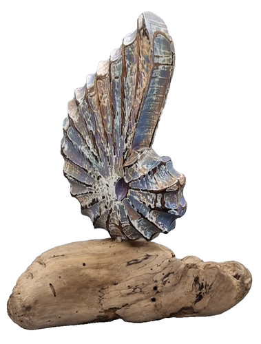 Shell carving driftwood - driftwood,
