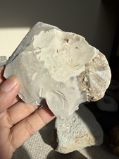 A Nice Flint Micraster Sea