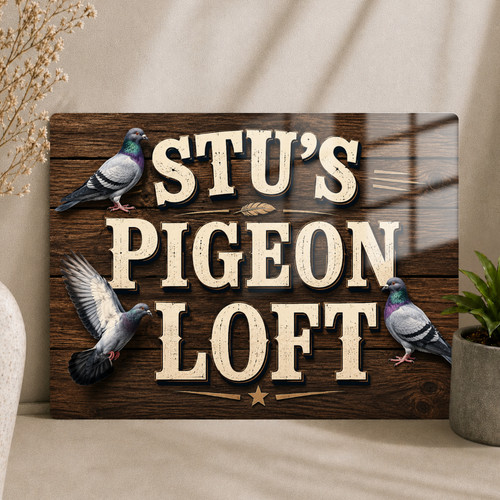 Pigeon loft shed - pigeon,