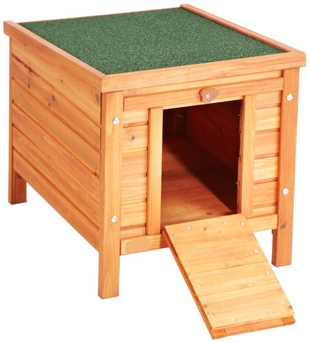 Rabbit guinea pig - rabbit/,