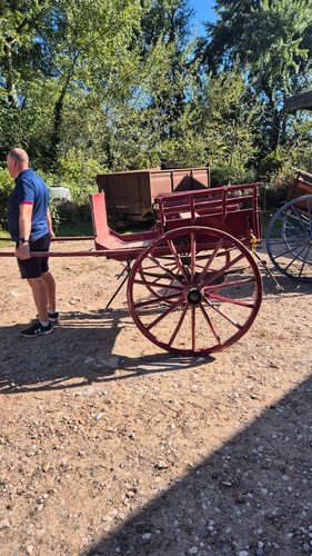 Horse drawn carriage - /pony, trap