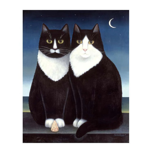 New moon black white - moon,