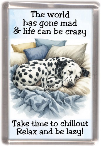Dalmatian dog fridge magnet - dalmatian,