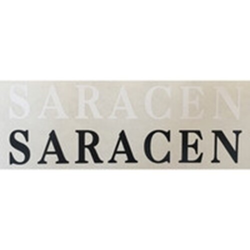 Saracen downtube decal - saracen, decal.