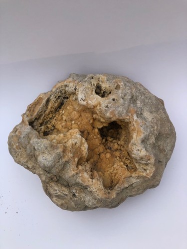 Sale rare large kentucky - sale,