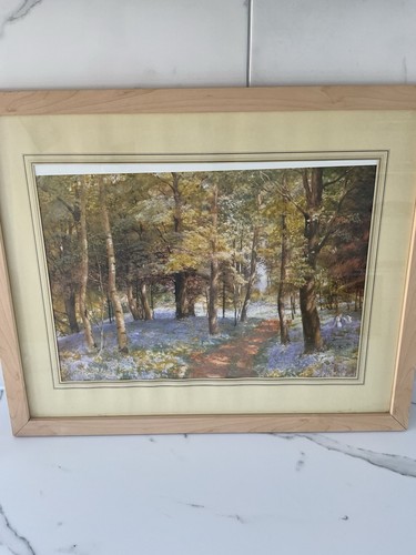 Framed print bluebell wood - bluebell,