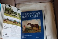 The European Racehorse 1981
